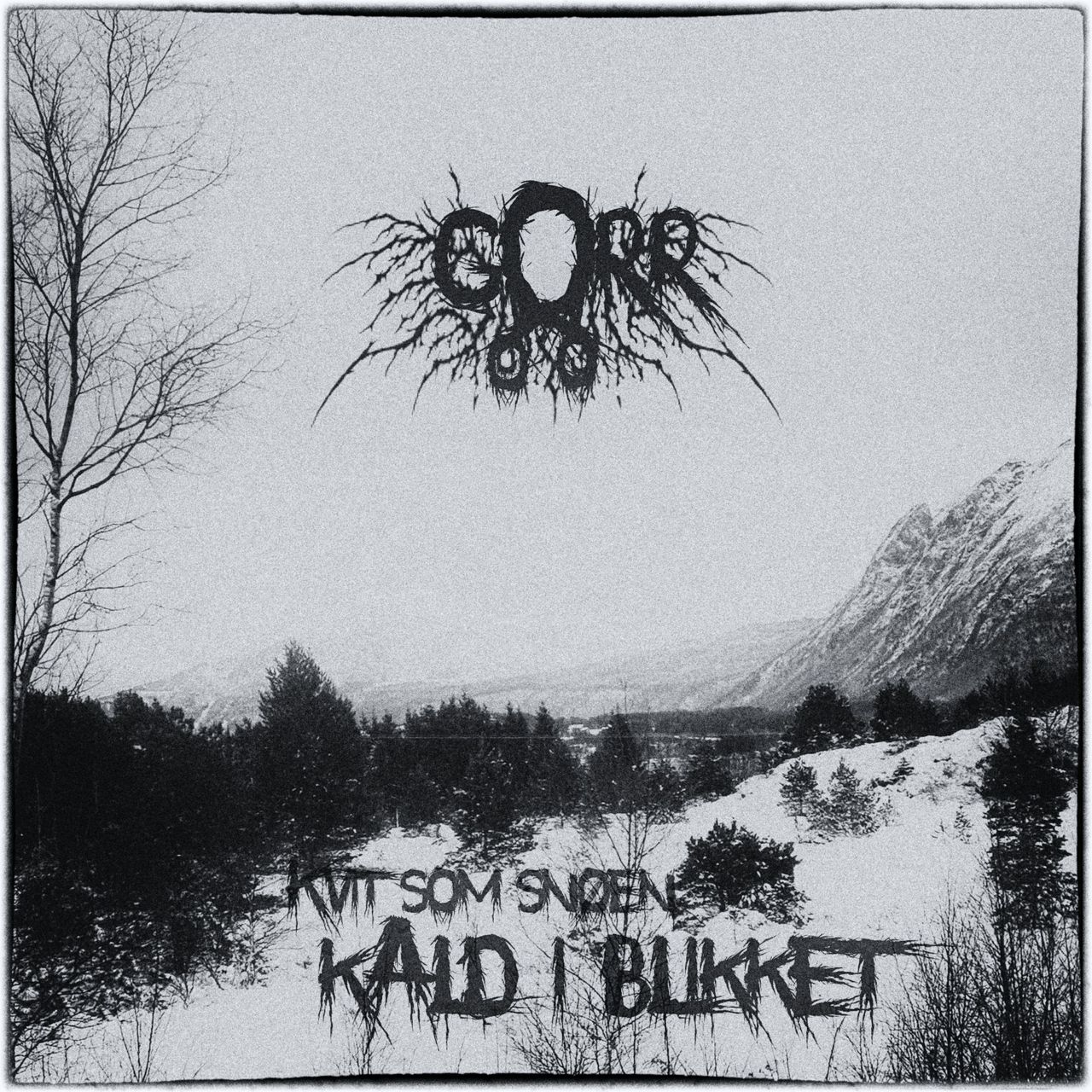 Coverart - Could pine forest with mountain in the distance