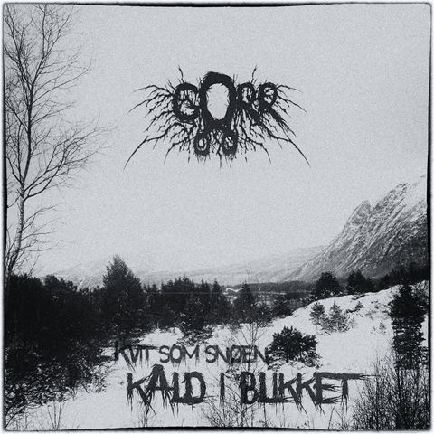 Coverart - Could pine forest with mountain in the distance