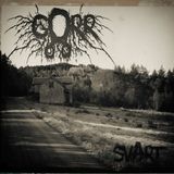 Coverart - Very old wooden building in norwegian country side